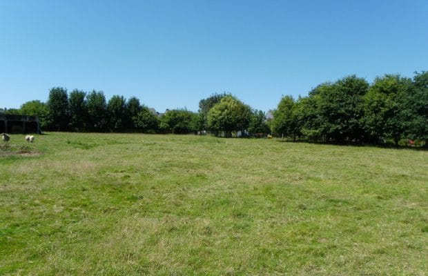 terrain à bâtir montauban