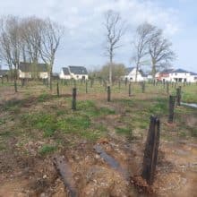 Terrain constructible