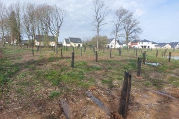 Terrain constructible