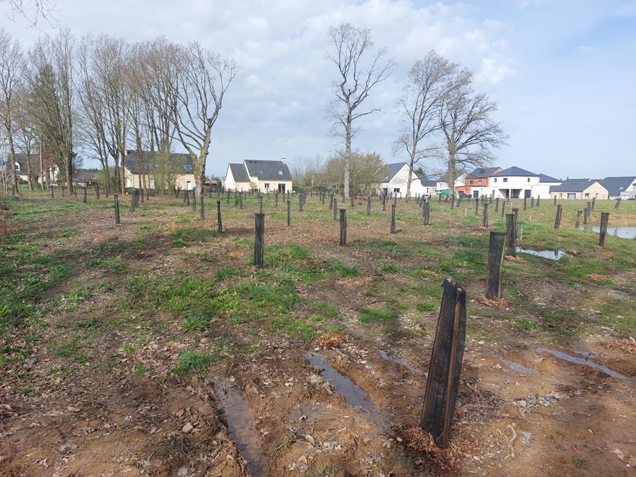 Terrain constructible