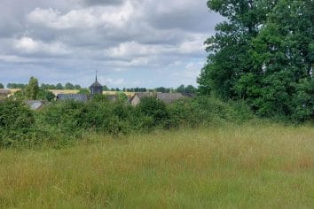 Terrain à bâtir