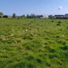 Terrain constructible situé en Ille-et-Vilaine