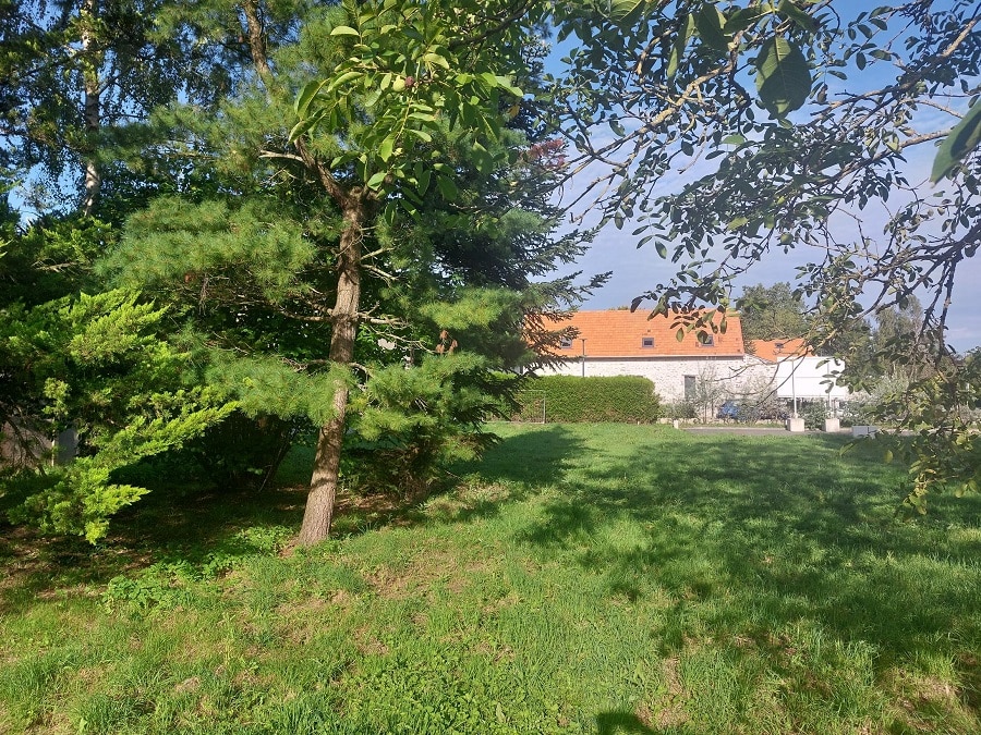 terrain betton