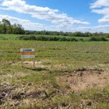 Lot 16 - La fée morgane à Boisgervilly