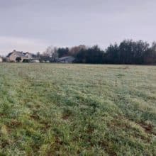 terrain boisgervilly proximité montauban