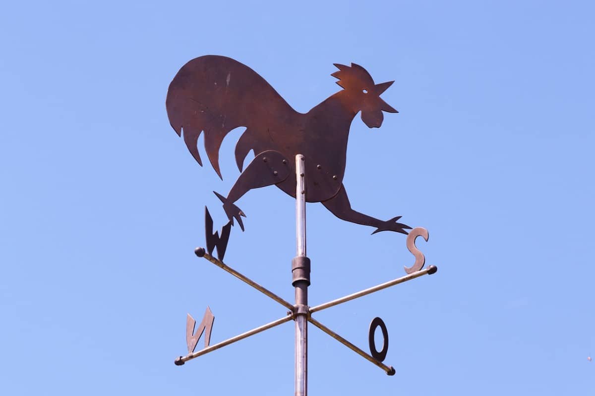 Points cardinaux